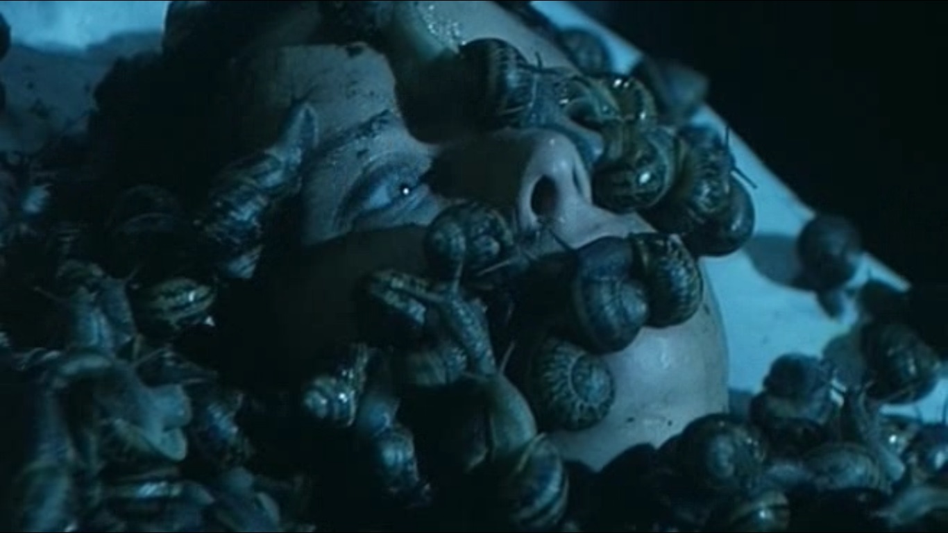 aenigma