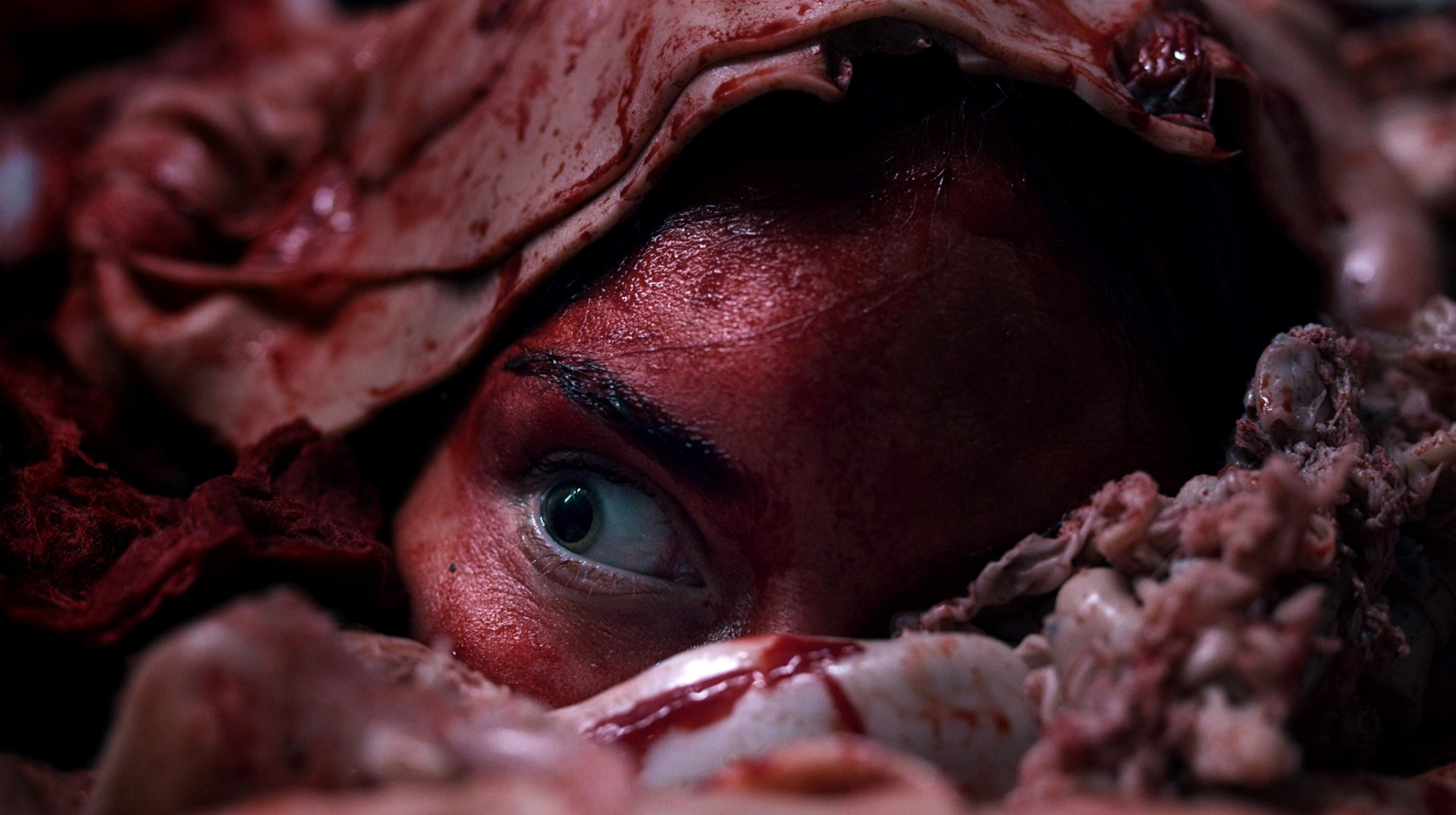 Meat Kills