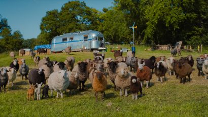 The Sheep Detectives May 2026